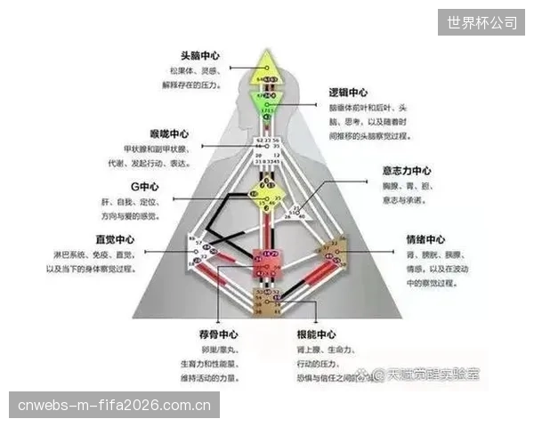 加莱诺伊相对固定的战术体系是优势也是隐患，面对变数时调整能力存疑。